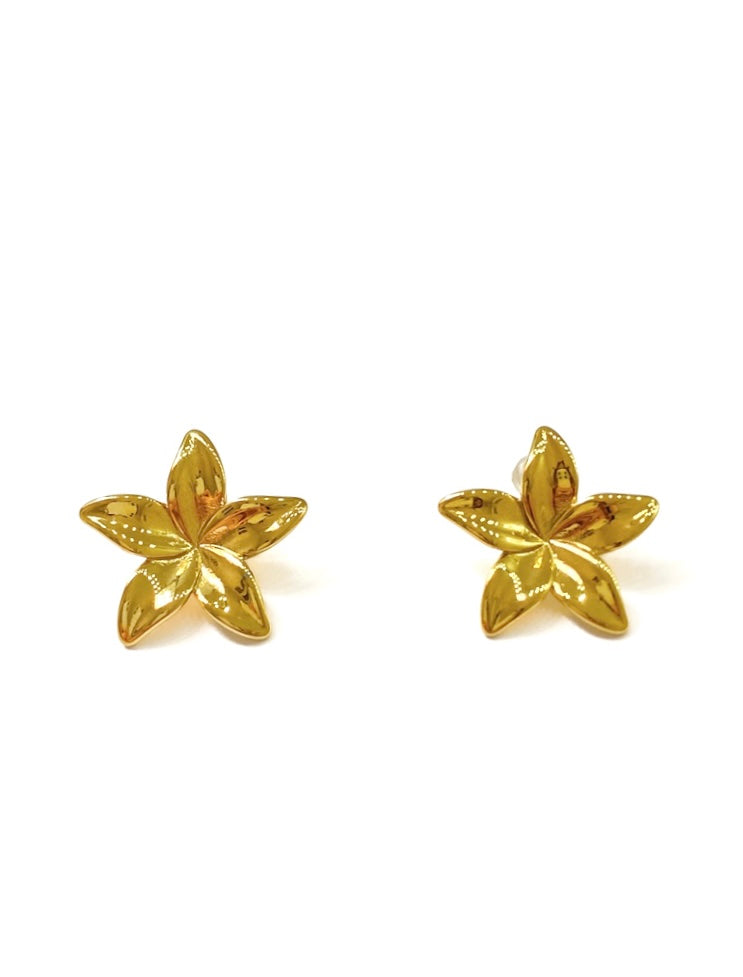 Aloha earring golden